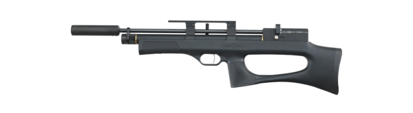 Precihole Minotaur PX120 B-X3 .177 Air Rifle